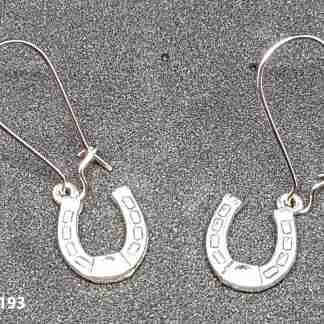 Horseshoe Earrings - E193