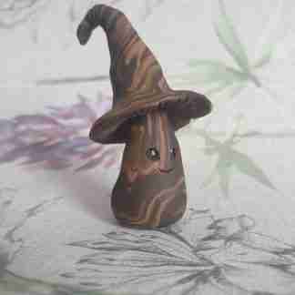 Brown Witch Mushroom