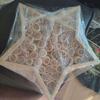 Dog Treat Wooden Shape- Star