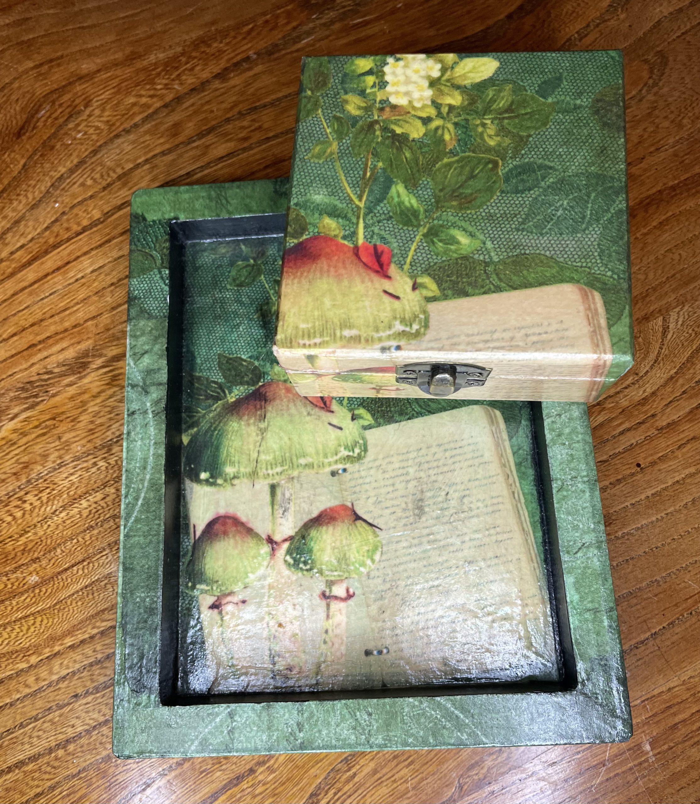 Mushroom Gothic Découpage ring tray and jewellery box