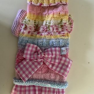Lovely winter pet dress.