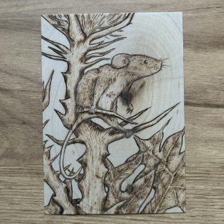 Postcard - To a Mouse (close up)