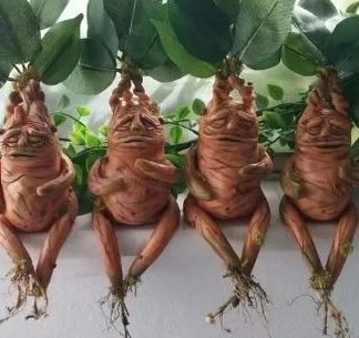 Mandrake Resin Ornament