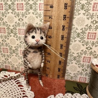 Oliver, miniature cat
