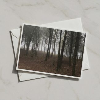 Misty Forest A6 Card, Woodland Trees Landscape Notecards, Moody Nature Photography, Dark Wood Wall Art, Dawn and Dusk Collection Gift
