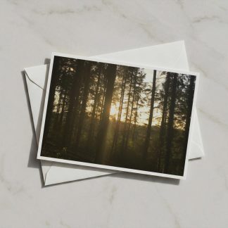 Forest Sunrise A6 greeting card, Woodland Sunlight Through Trees, Nature Wall Art, Dawn and Dusk Collection, FSC Certified Matte Card